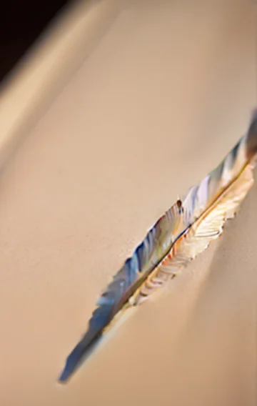 How To Help A Sexual Assault Victim