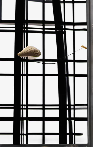 Mile High Club Almost