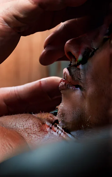 A Perfect Gentleman 2