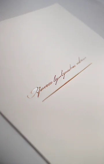 Daredevils Of St Trinians Ch 01 02