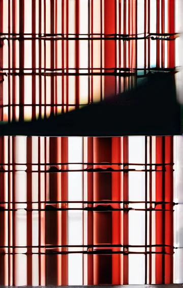 The Red Velvet Cloak