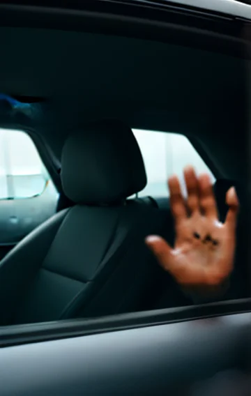 Makis Wild Elevator Ride