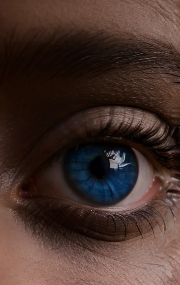 My Wifes Very Special Holiday